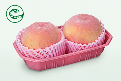 Product development and sales promotion of recycled trays