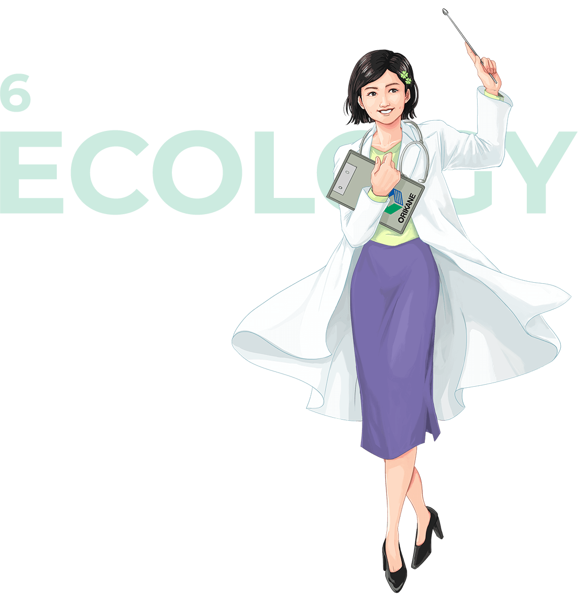 6 ECOLOGY