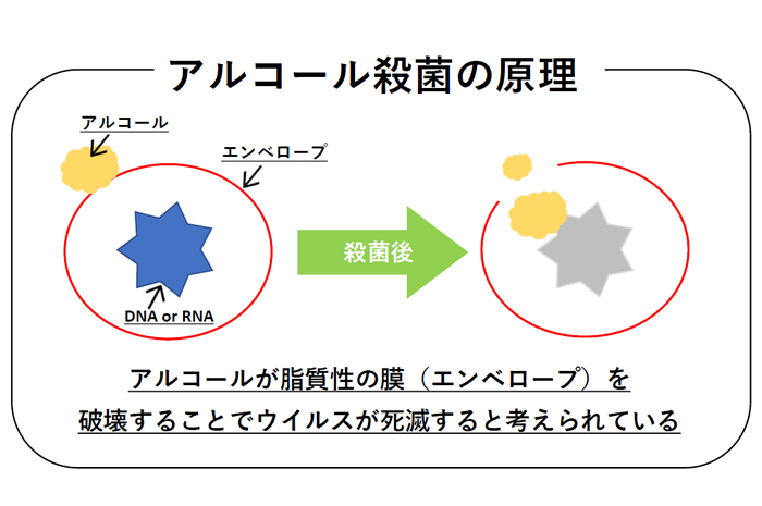 イソプロピル アルコール 消毒 濃度