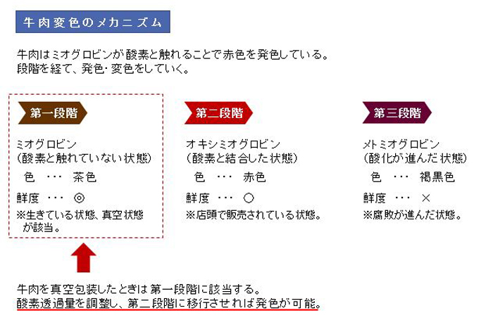牛肉変色のメカニズム