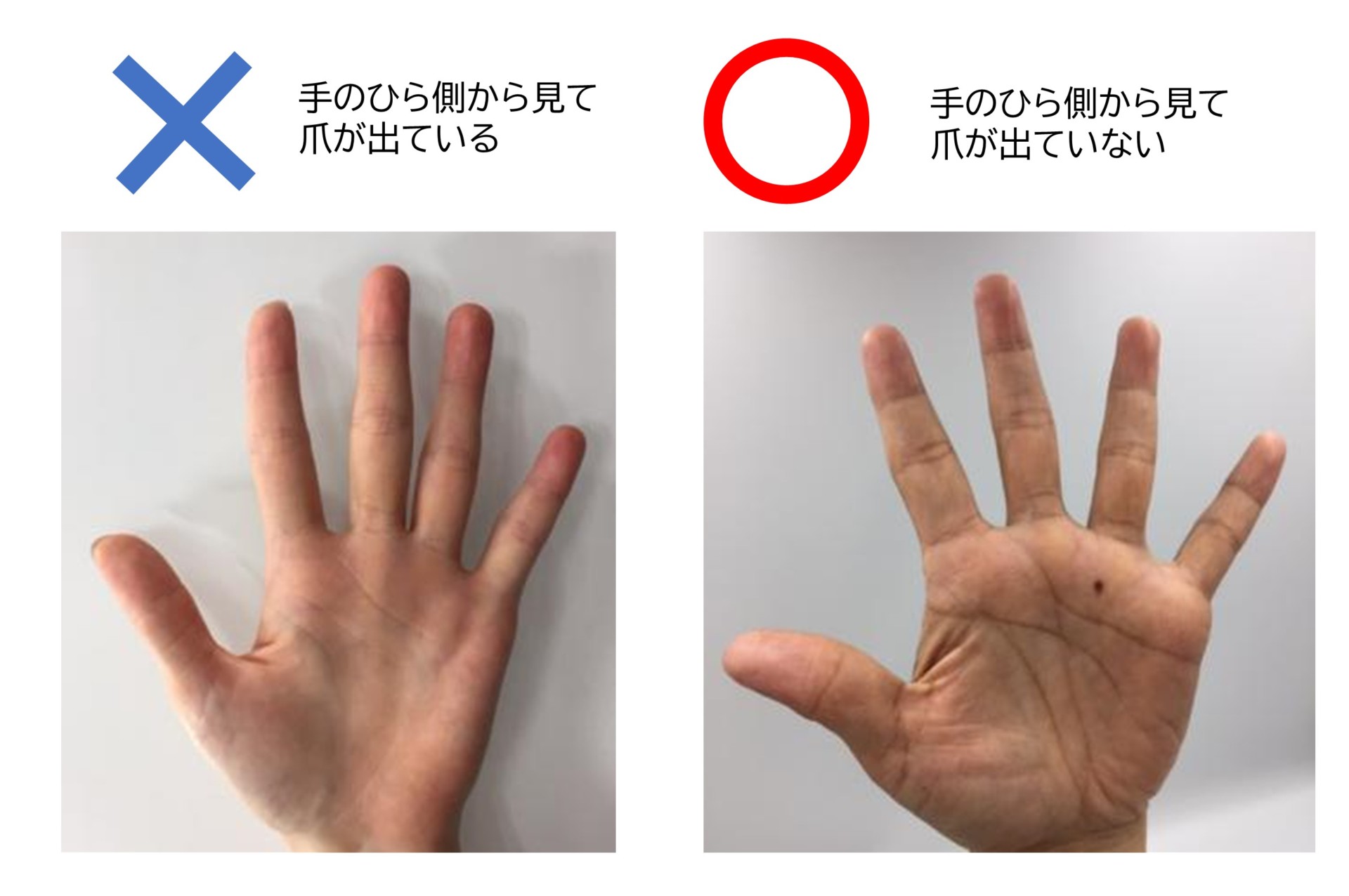 食品工場の作業従事者の正しい身だしなみのポイントとhaccpの解説 折兼ラボ 株式会社折兼 食品工場の作業従事者の正しい身だしなみのポイントとhaccpの解説 折兼ラボ 株式会社折兼