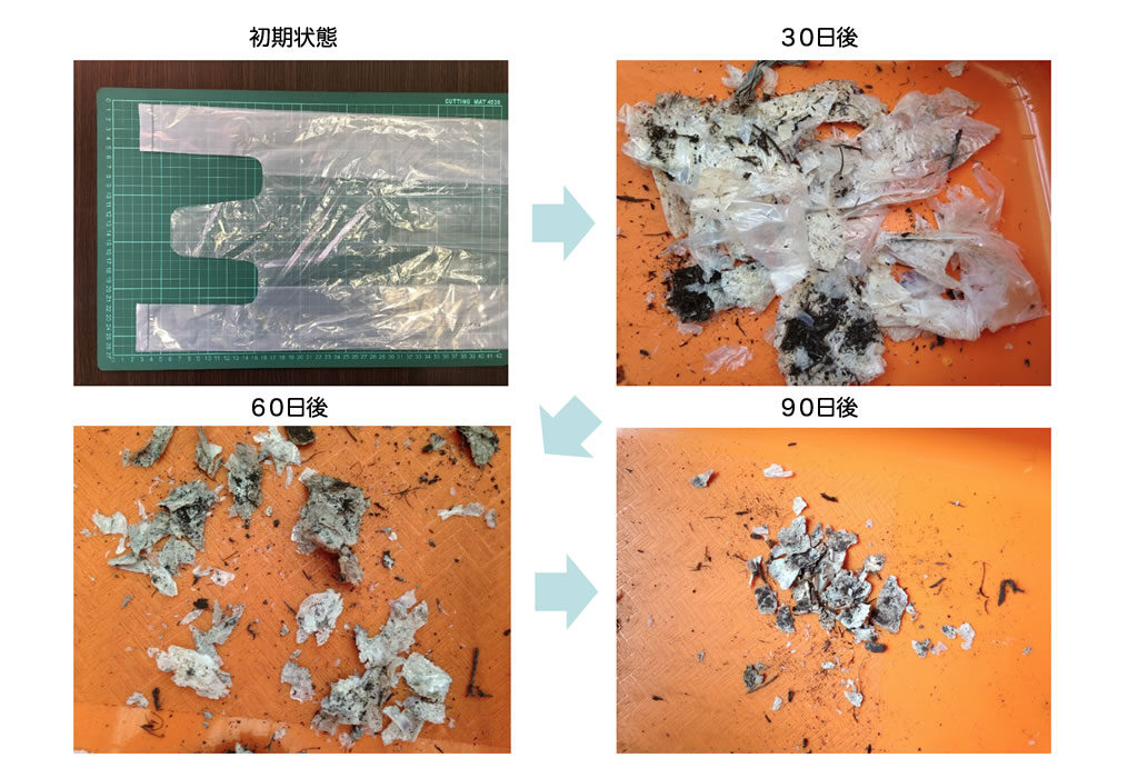 土壌分解性レジ袋の生分解の様子