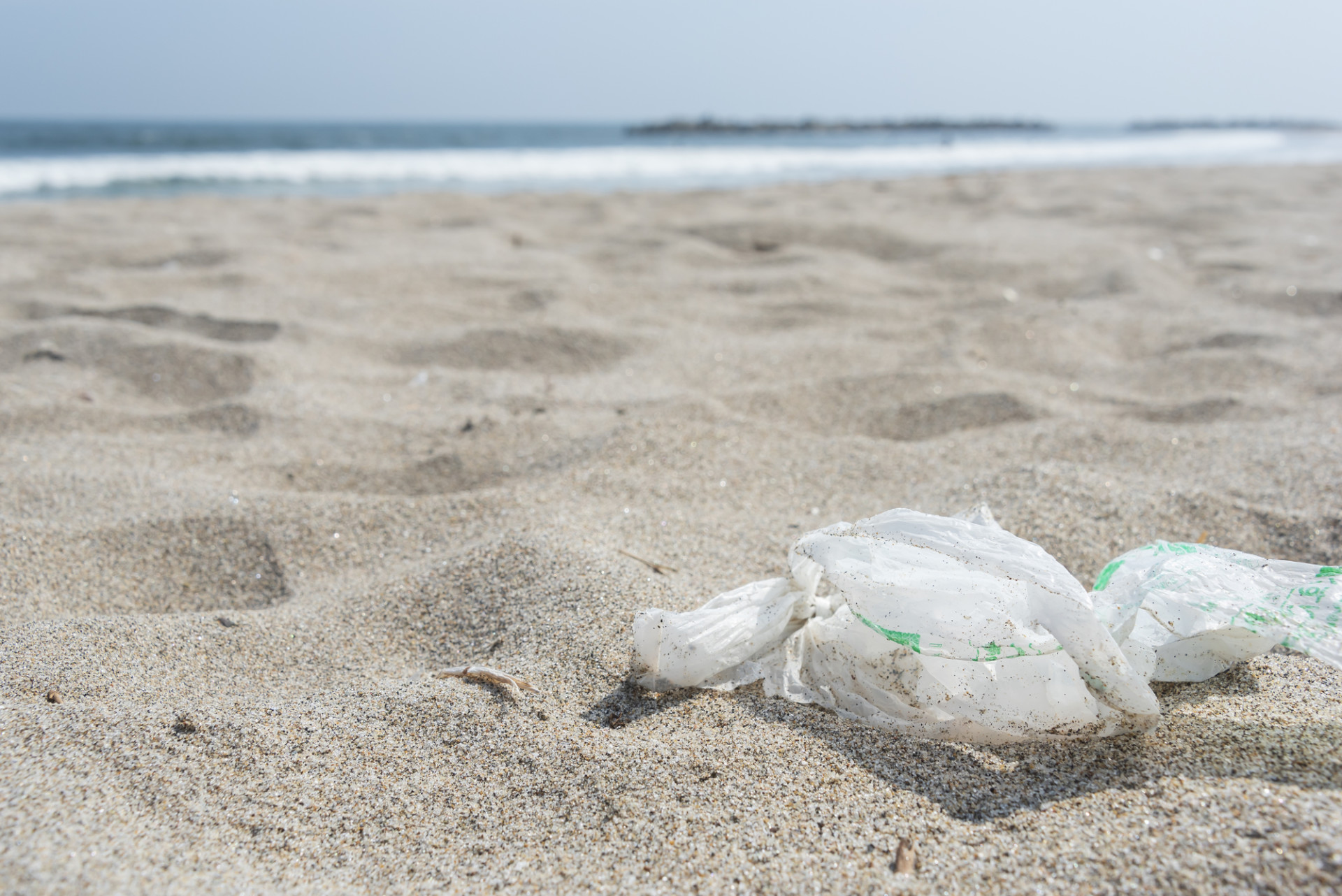 環境にやさしいプラスチックとは バイオマスプラスチックと生分解性プラスチックの違いについて紹介 折兼ラボ 株式会社折兼