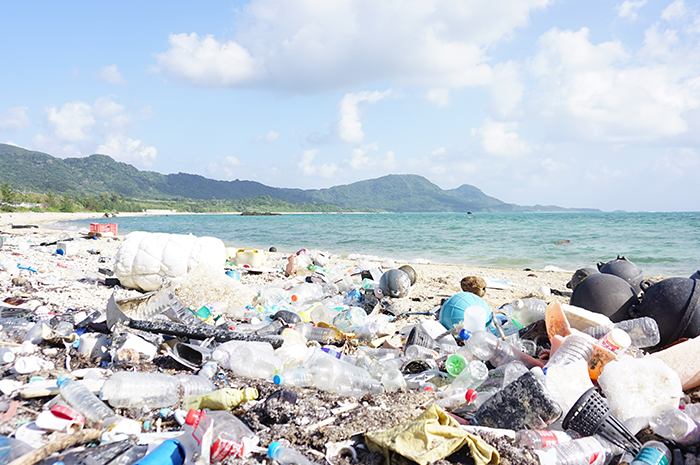 海洋プラスチック問題の対策に有効な対処法とは 折兼ラボ 株式会社折兼