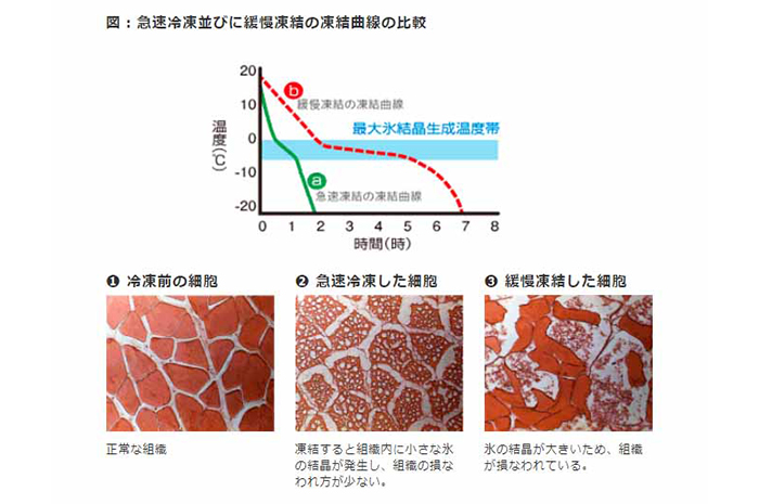 最大氷結晶生成帯