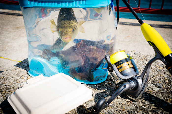 魚と釣り餌容器