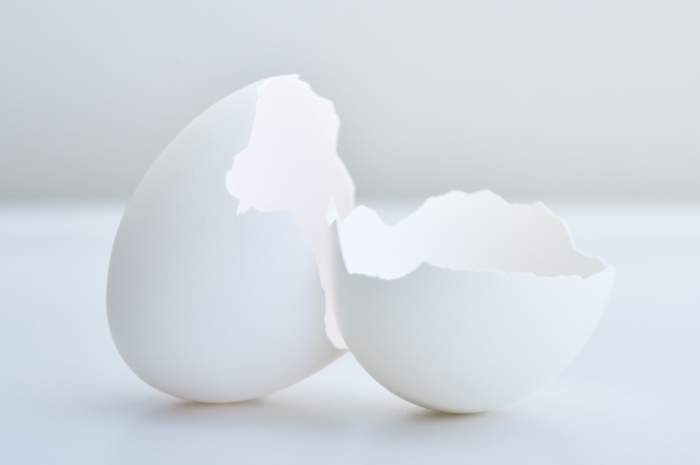 卵の殻イメージ画像