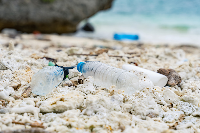 海洋プラスチックごみ