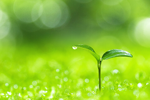 環境への取り組み